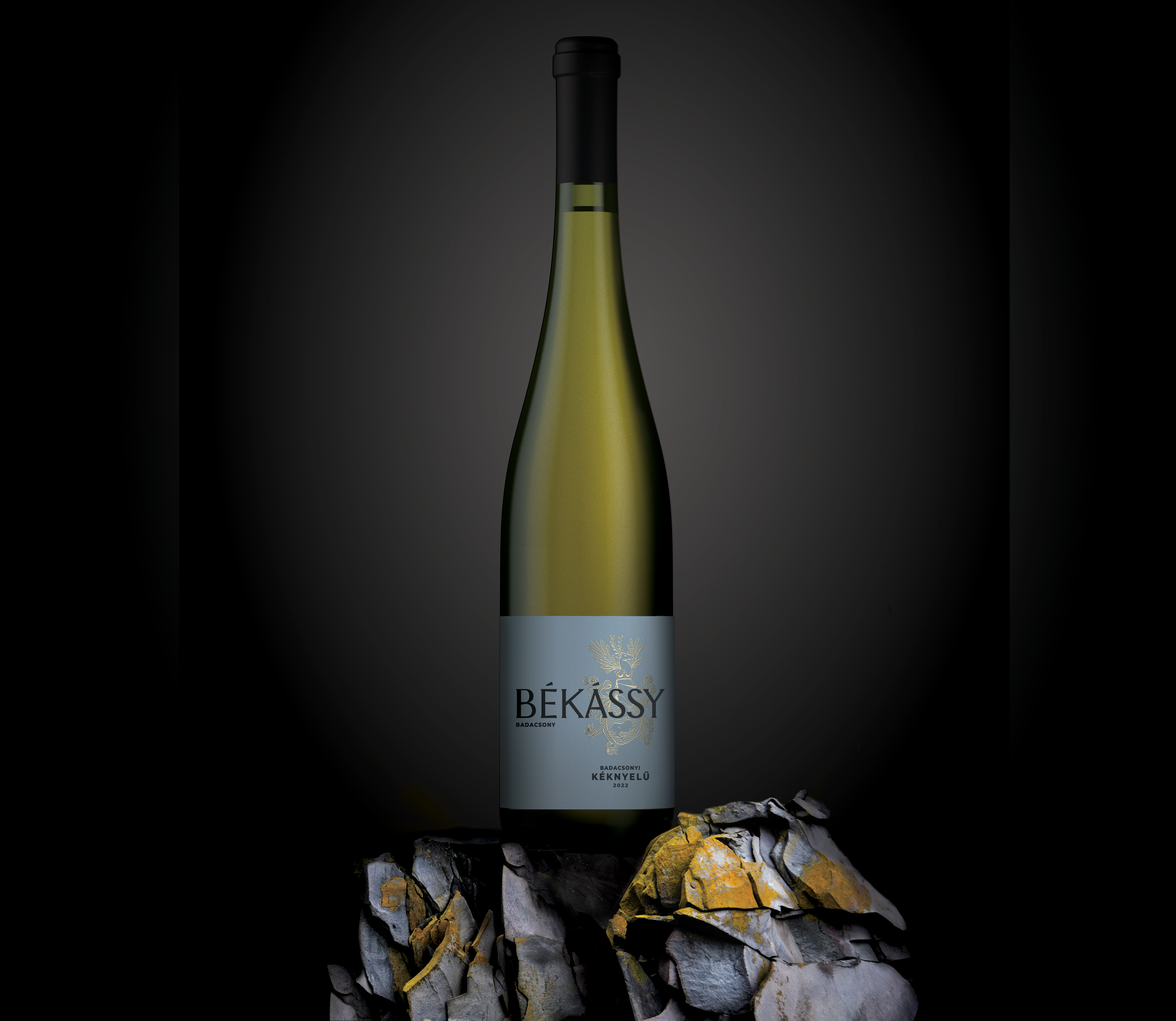 Bekassy_Keknyelu_2022_front